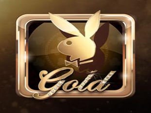 Playboy Gold game screenshot